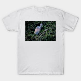 Dreamy Heron T-Shirt